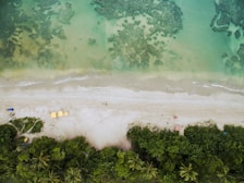 an aerial view of a sandy beach and ocean