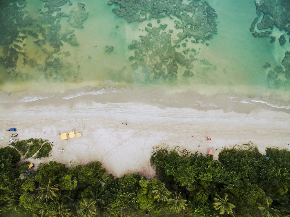 Una vista aérea de una playa de arena y el océano