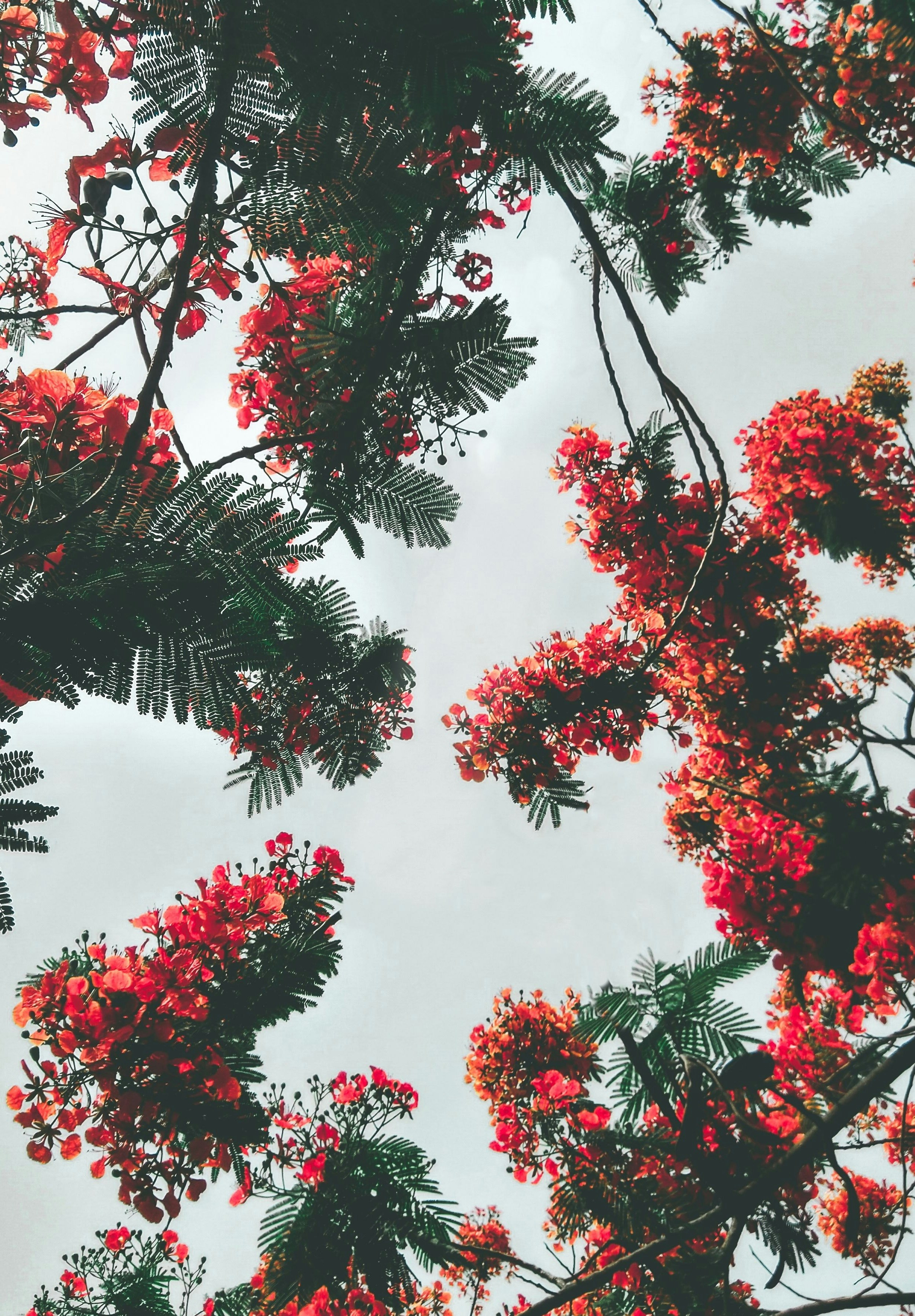 Photo by danmishinjunehomes