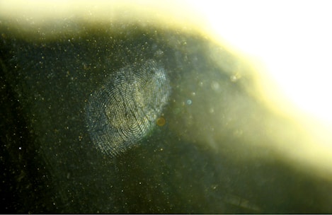 Close-up of hands analyzing fingerprint evidence on a glass surface.
