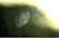 A close-up image of a fingerprint visible on a surface. The fingerprint is detailed and appears to be illuminated, surrounded by a slightly blurred background. The surrounding area has a texture that suggests a reflective or smooth surface.