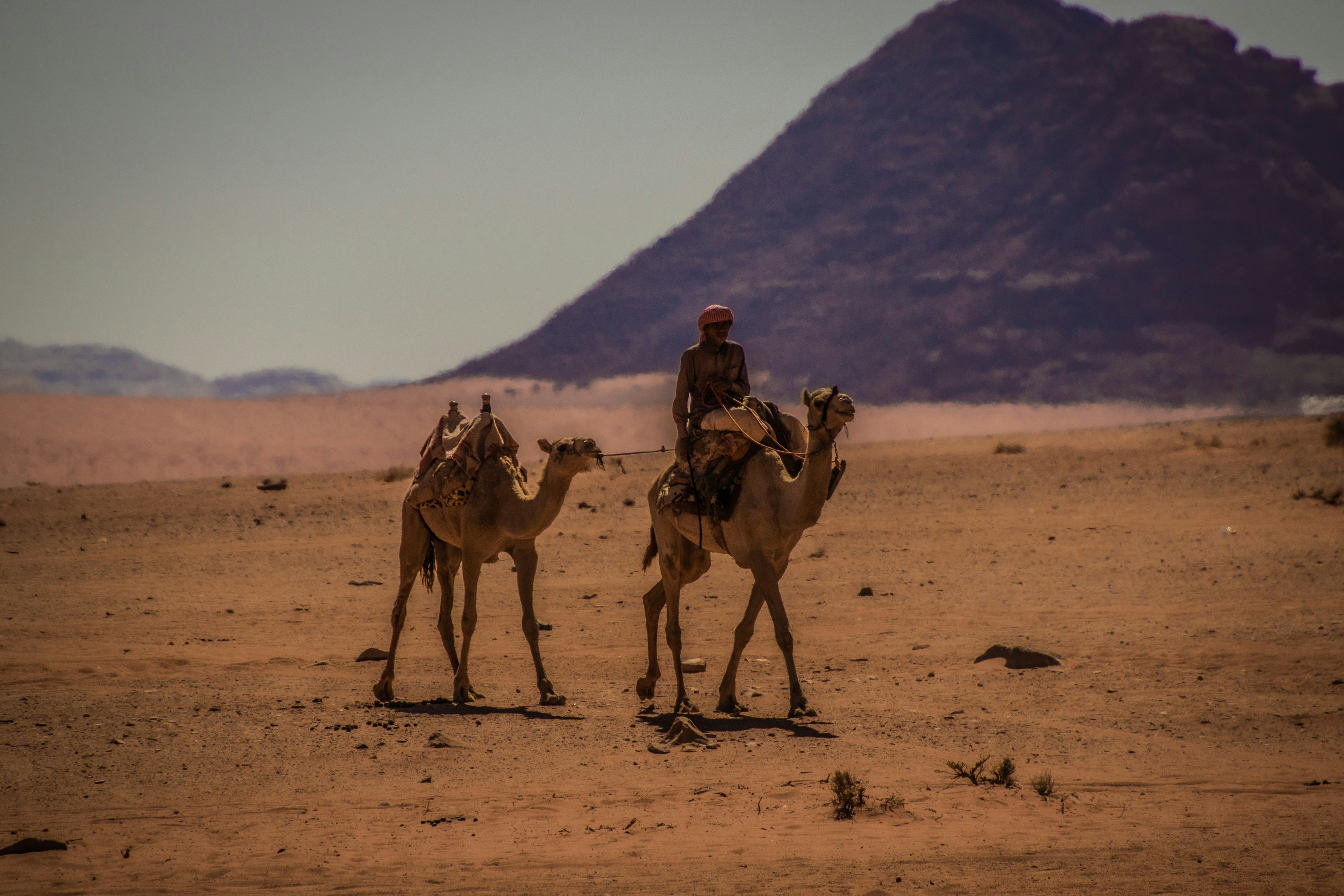 Photo by starkie_pics