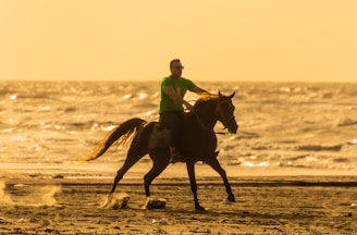 a man riding a horse on the beach