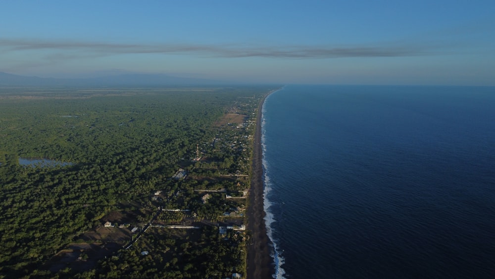 an aerial view of a beach and a body of water