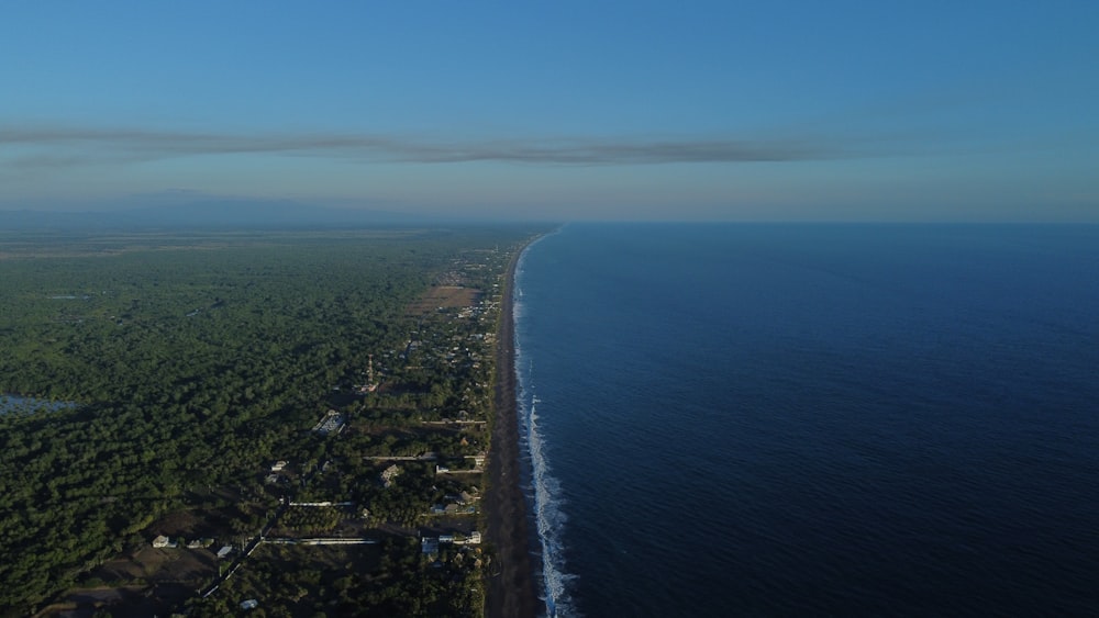 an aerial view of a beach and the ocean