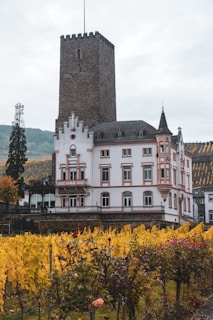 A historic castle with a tall stone tower and decorative white facade stands amidst a vibrant vineyard. The vineyard's leaves are bright yellow, indicating autumn, and the landscape is surrounded by rolling hills under a cloudy sky.