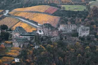 A historic stone castle is surrounded by lush green and yellow vineyards, set against a backdrop of rolling hills covered in autumn foliage. The castle features multiple towers and ancient walls, providing a stunning view of the countryside. A small road winds through the landscape, adding a peaceful and secluded ambiance to the scene.