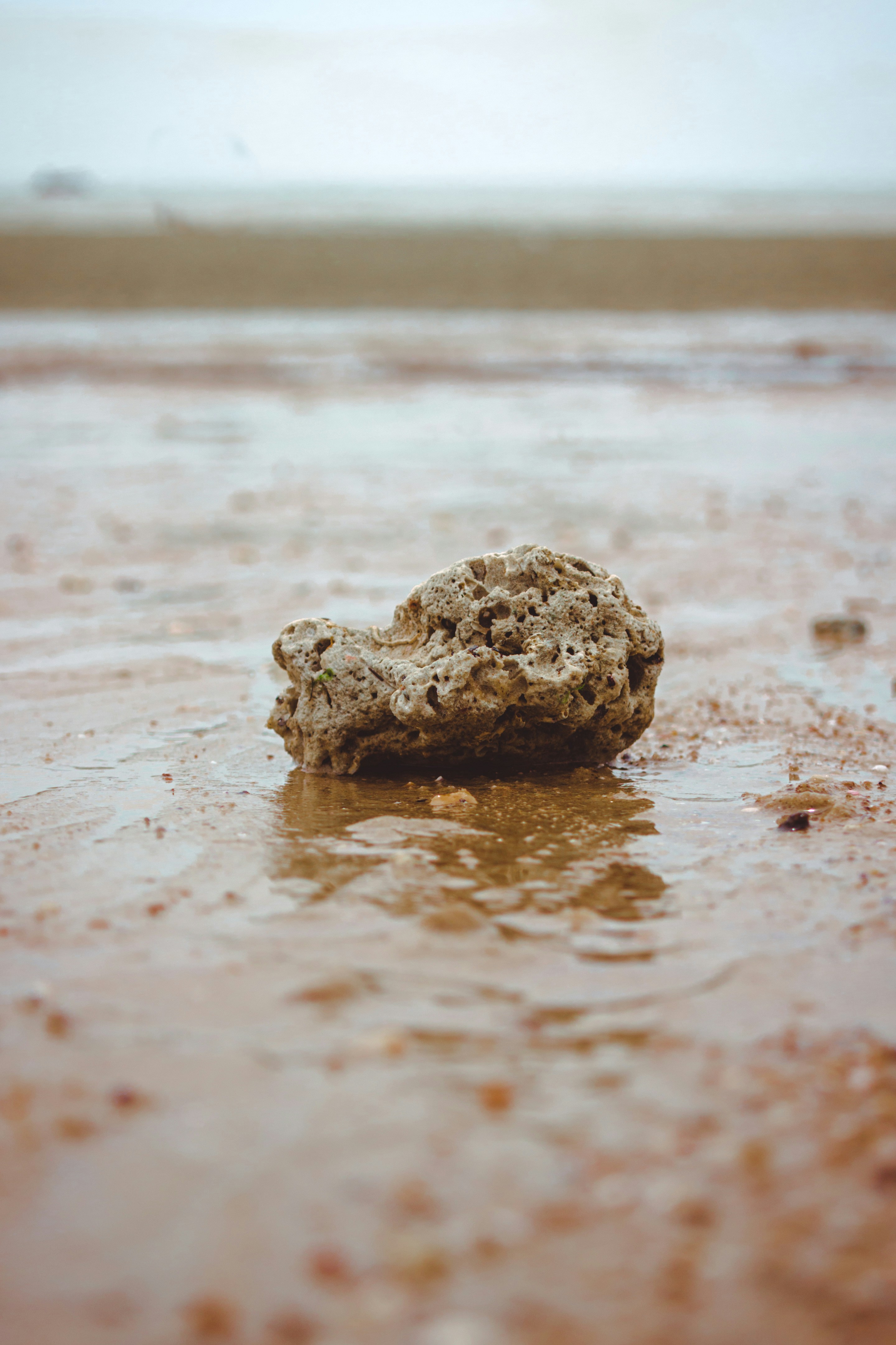 Beach With Rocks Pictures | Download Free Images on Unsplash