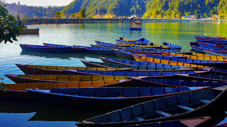 Colorful traditional boats lined up along the shore of Lake Malawi, reflecting local culture.