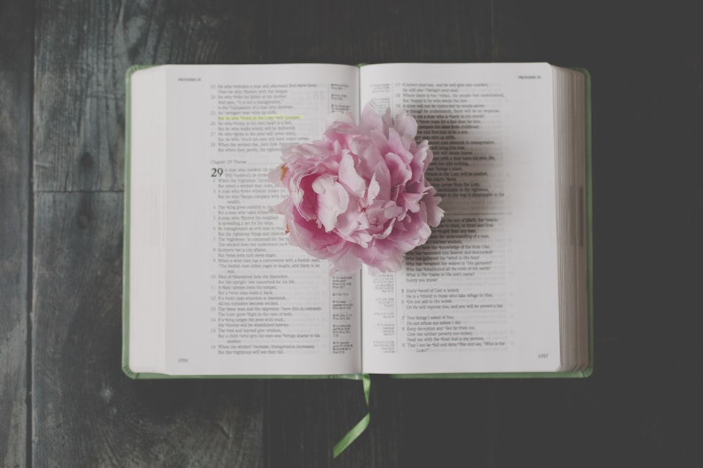 an open book with a pink flower on top of it
