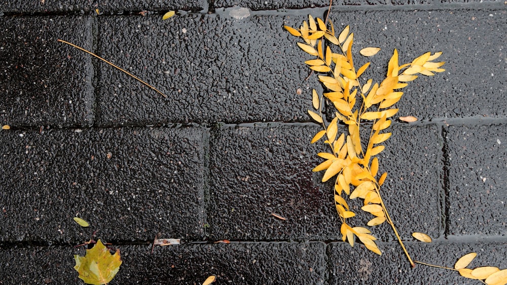 a yellow plant is growing out of a brick wall