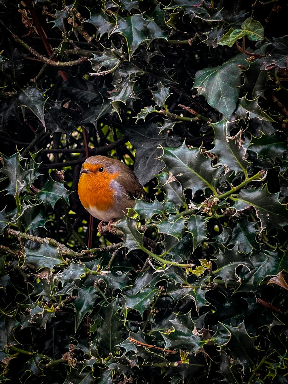 a small bird perched on a branch of a tree