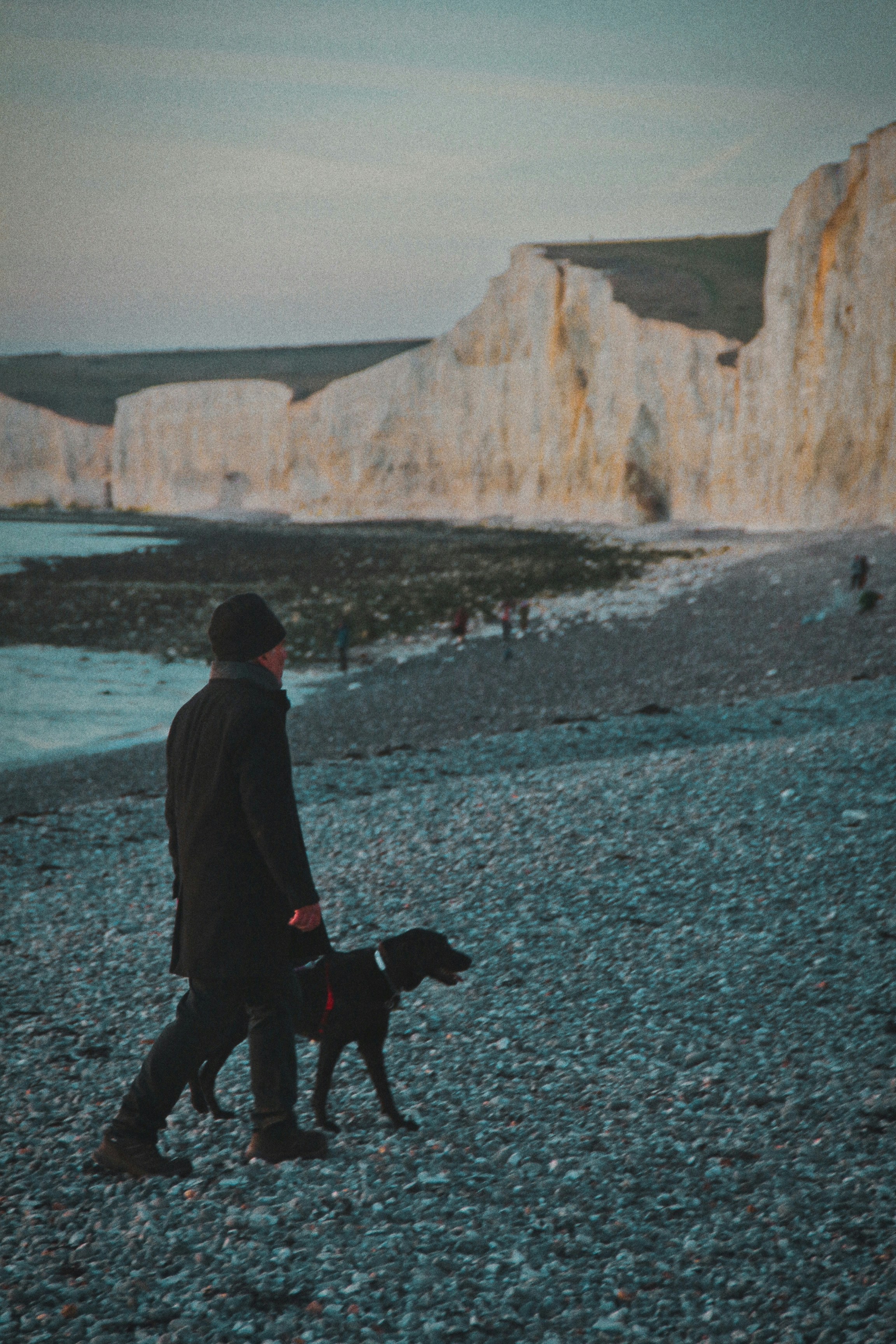 Photo by palemartin1