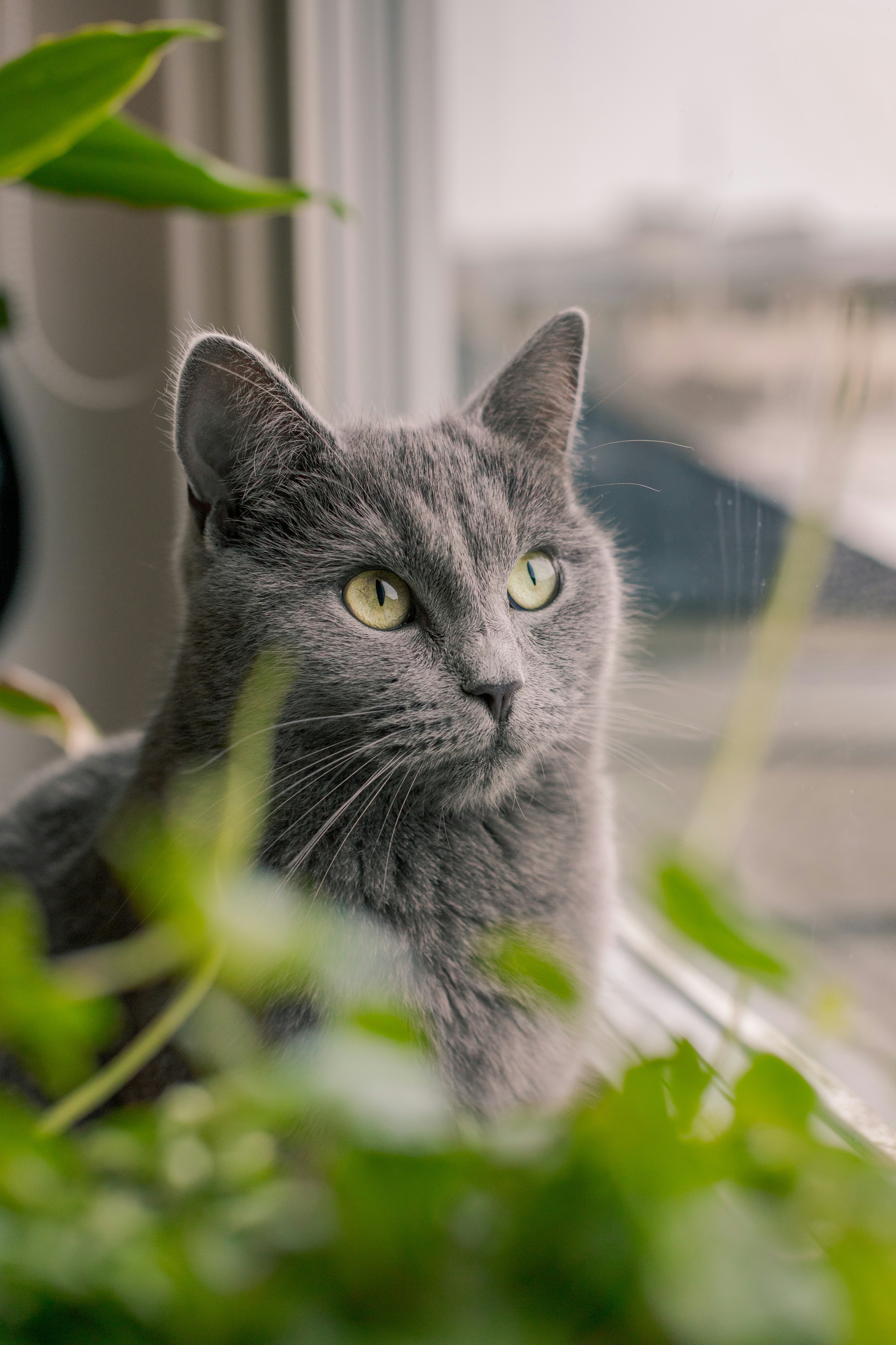 Photo by karlhornfeldt