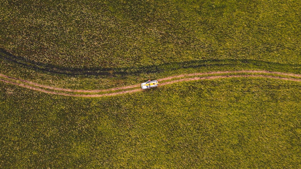 a truck driving down a dirt road through a lush green field