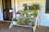 A cozy outdoor space with potted plants arranged neatly on a wooden shelf.