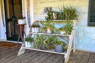 A wooden shelf on a balcony holding various succulents and small flowering plants.