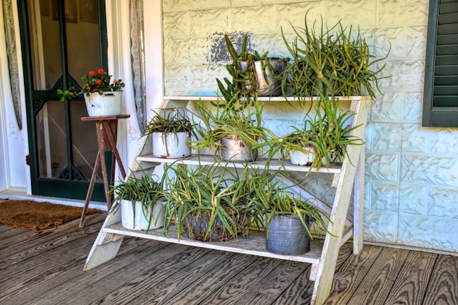 A cozy outdoor space with potted plants arranged neatly on a wooden shelf.