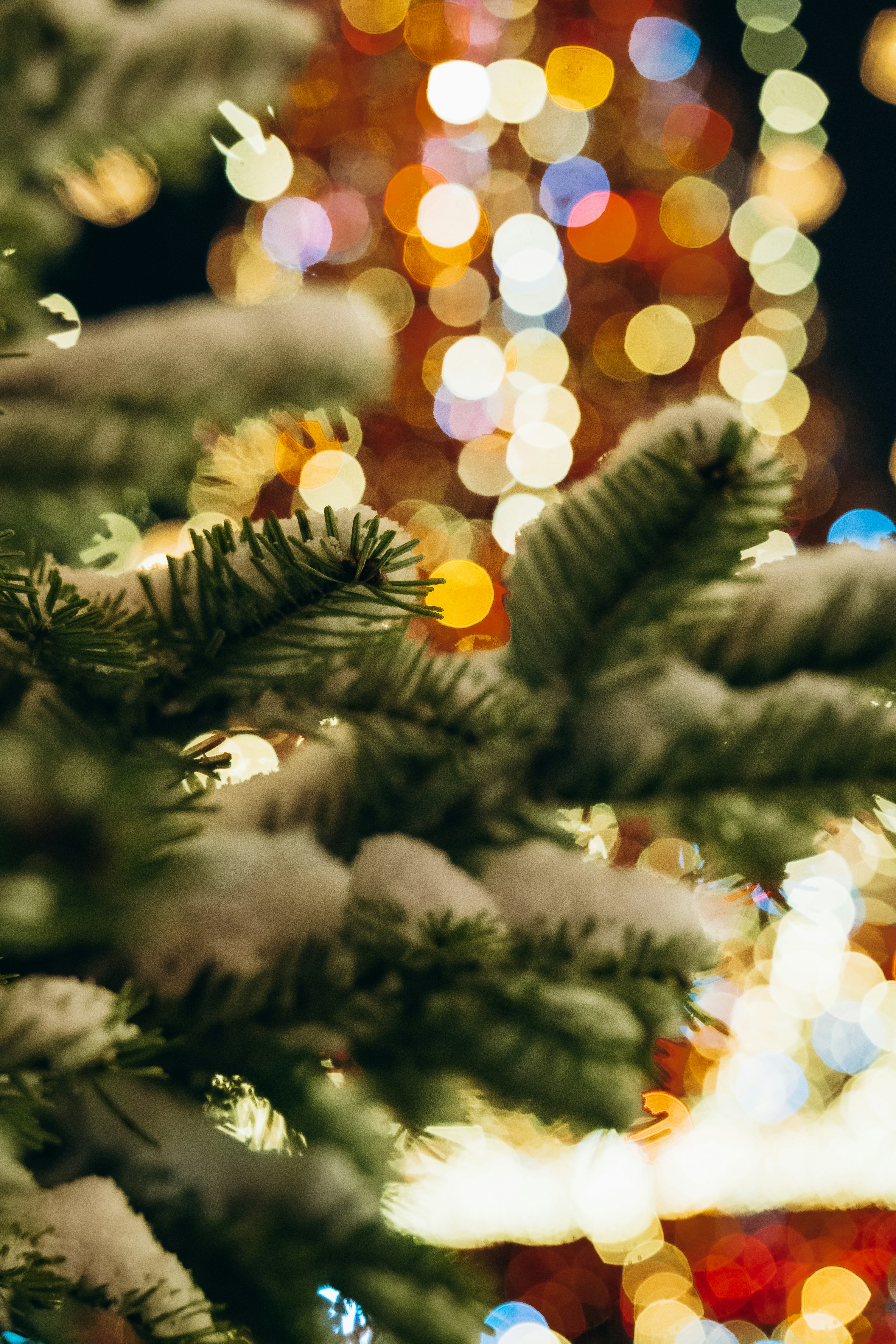 Photo by yana_hurska