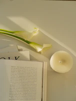 Minimalist arrangement of candles and botanical elements on a sand-colored linen cloth.