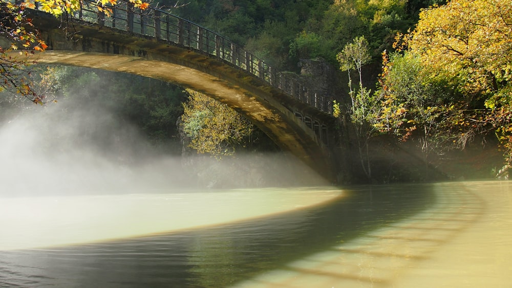 a bridge over a body of water surrounded by trees