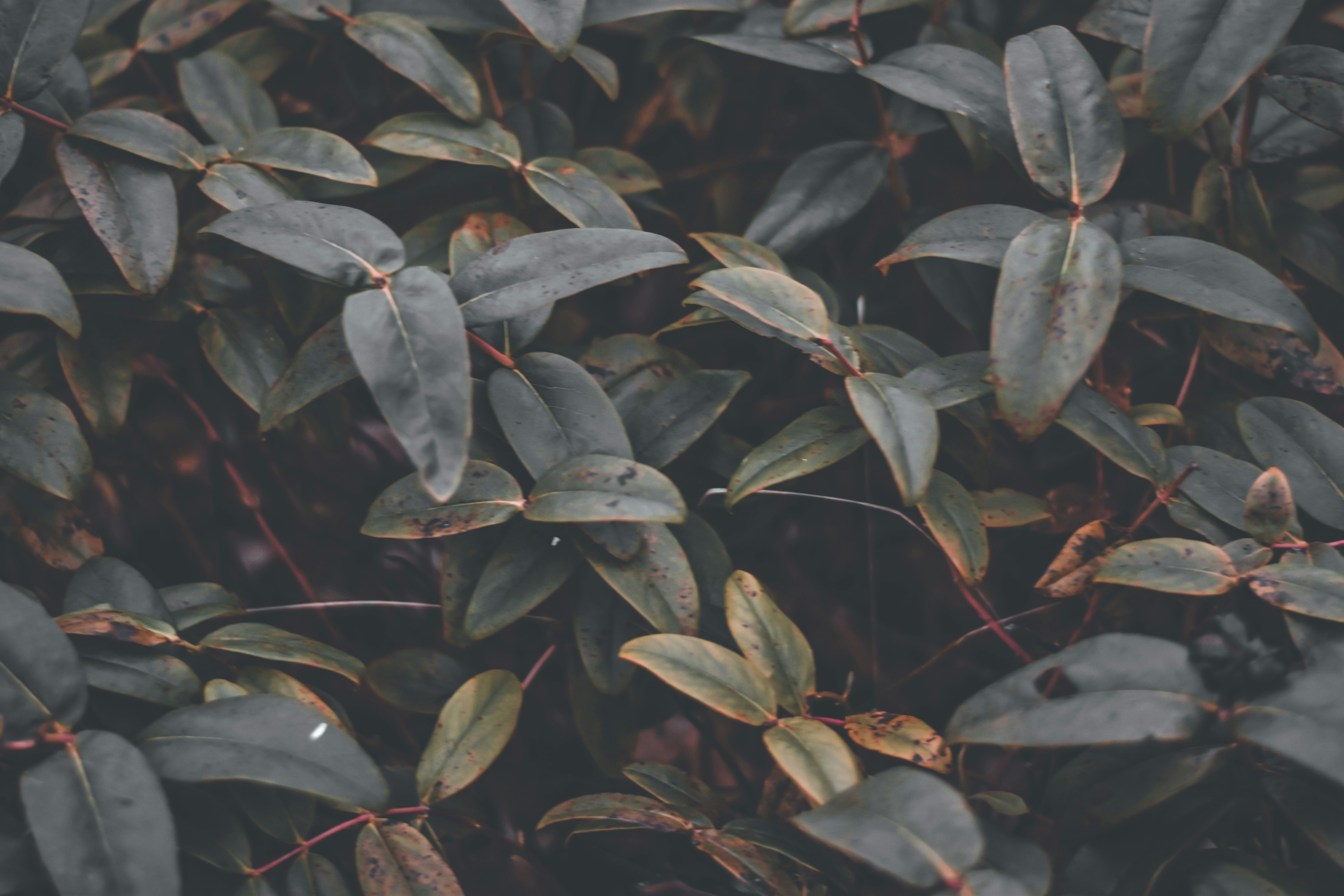 Photo by elliottmason