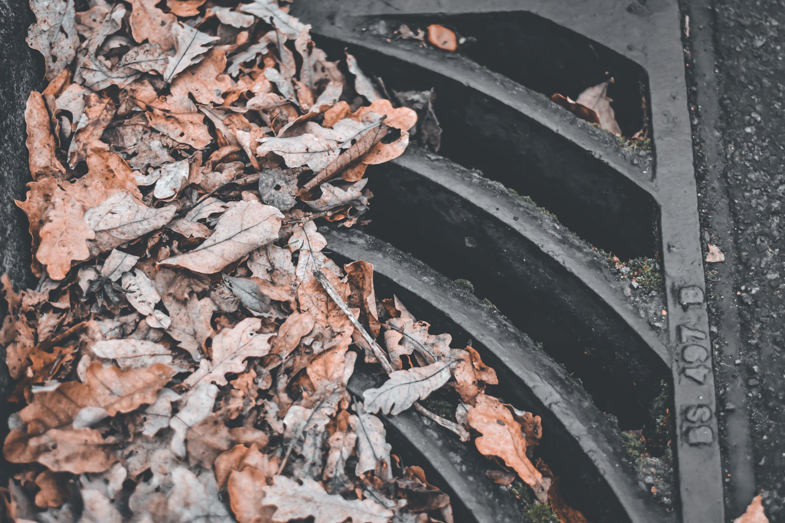 Leaves resting on a metal grate