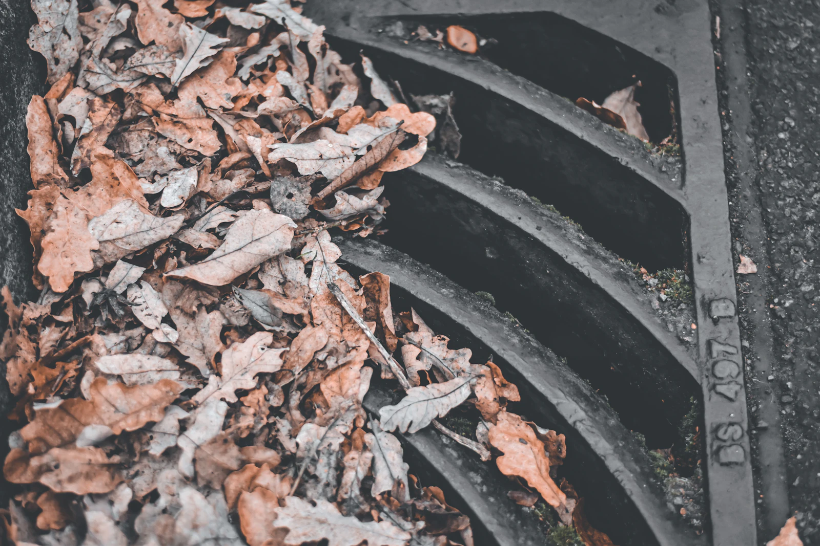 Fallen brown leaves piled against a metal storm drain grate