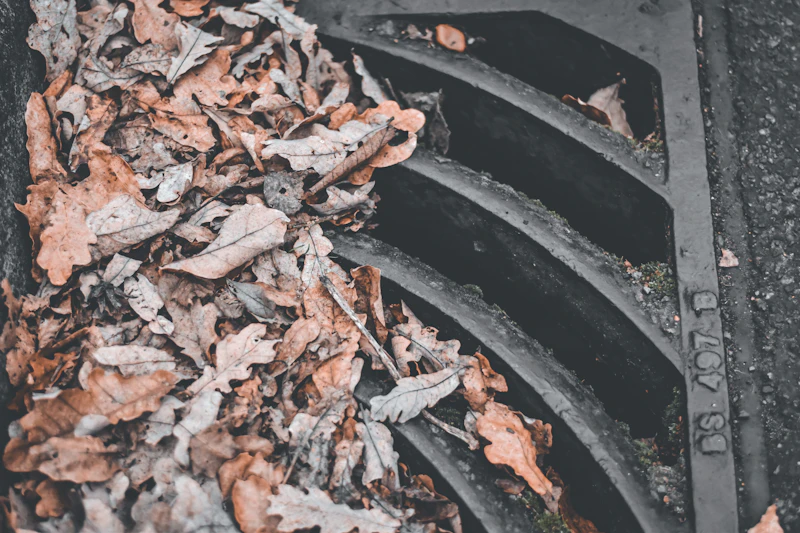 Fallen brown leaves piled against a metal storm drain grate