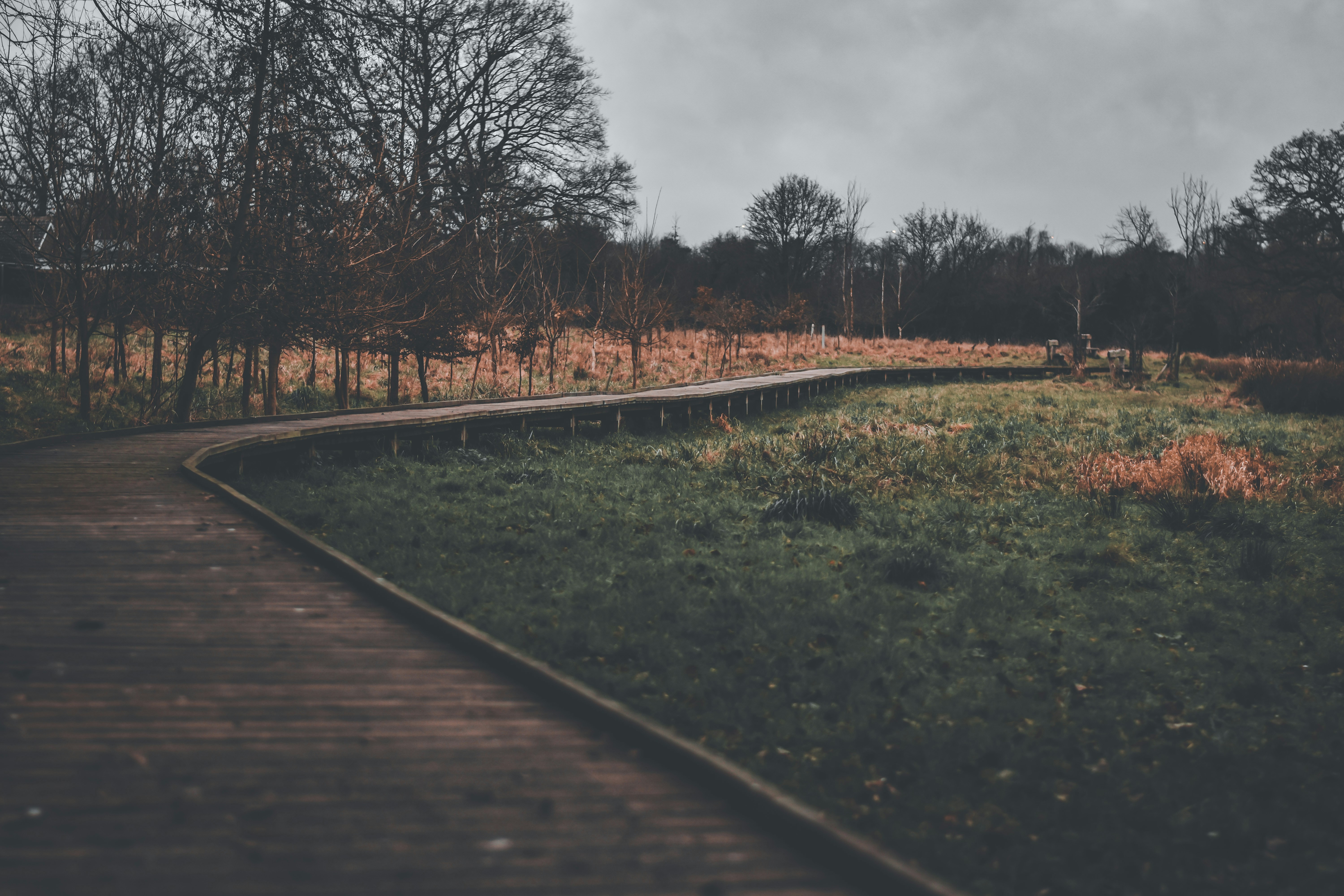 Photo by elliottmason