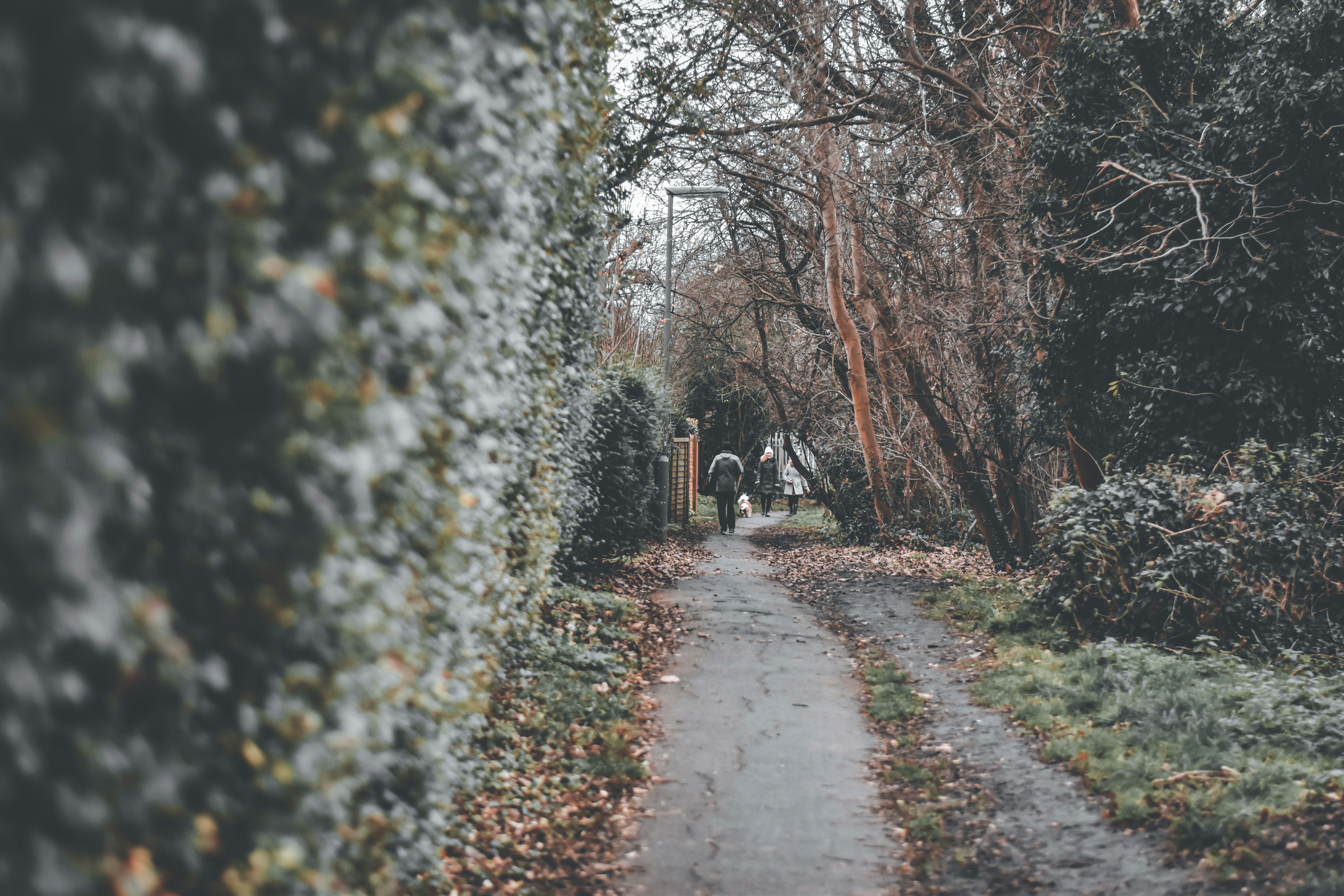 Photo by elliottmason