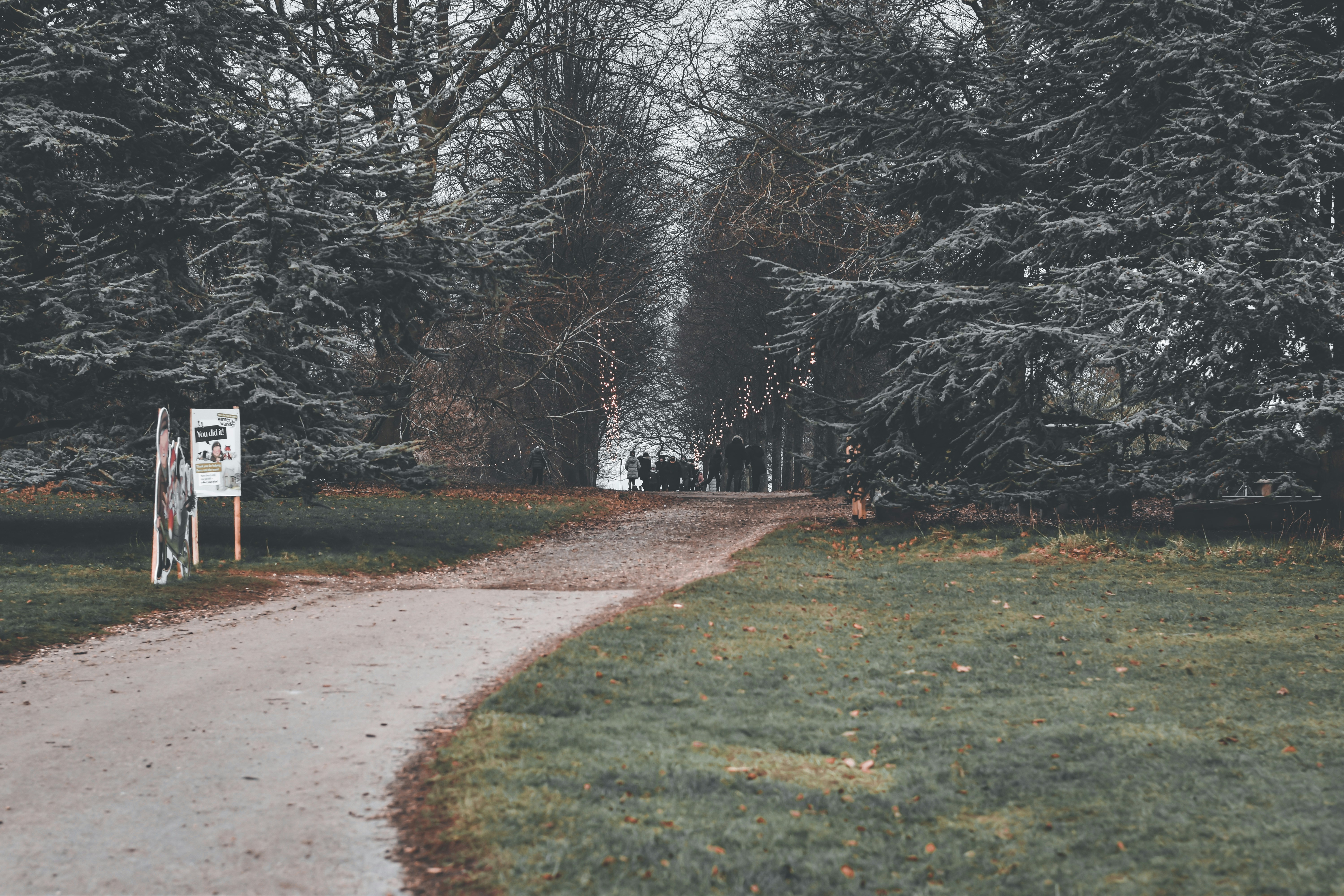 Photo by elliottmason