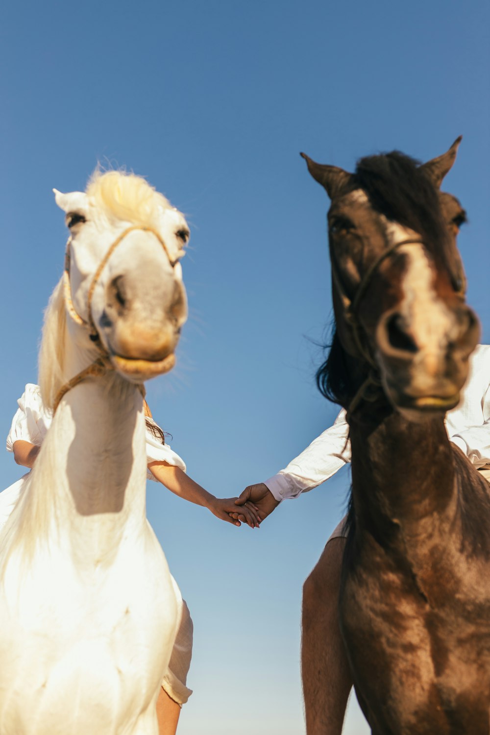 a woman in a white dress is holding the hand of a horse