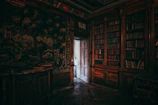Cassian browsing through historical ornament pattern books in a cozy study.