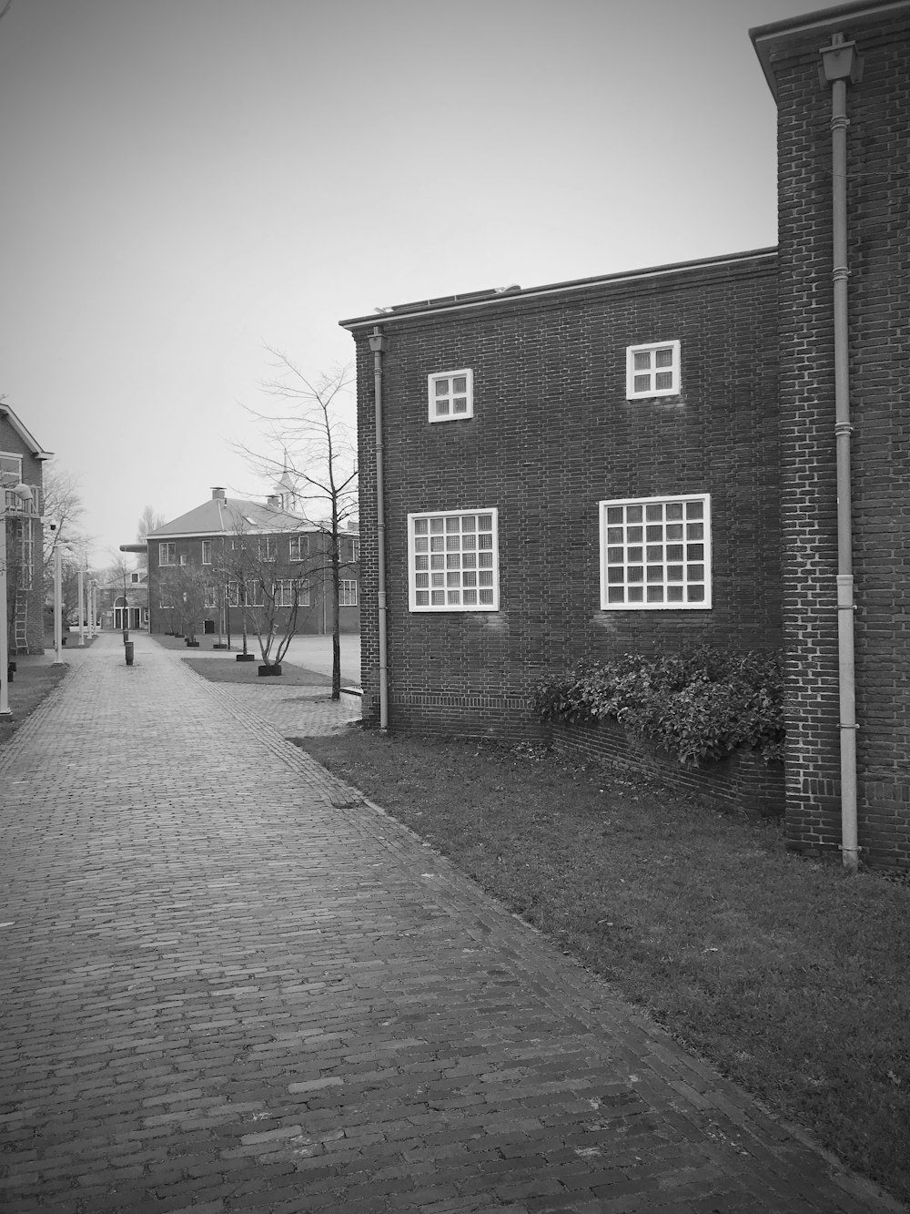 a black and white photo of a brick street