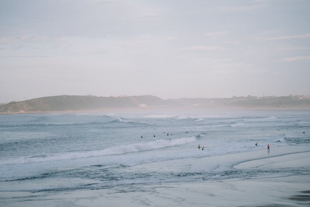 a group of people standing on top of a beach next to the ocean