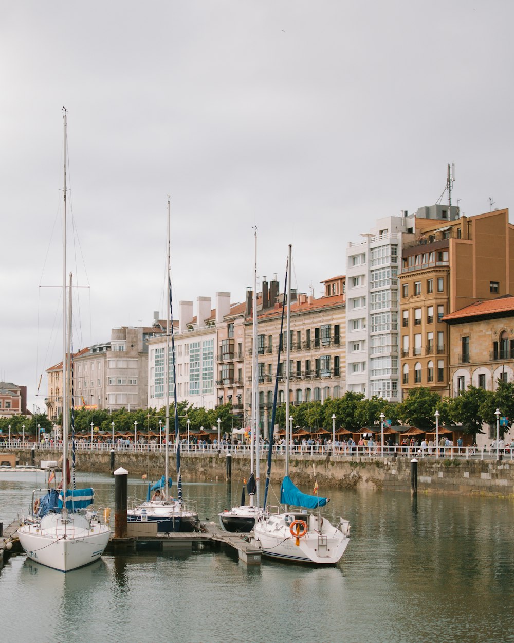 a group of sailboats docked in a harbor