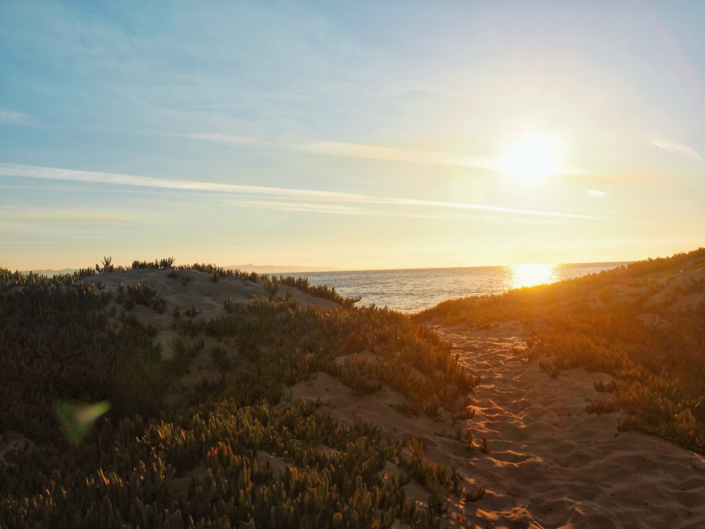 the sun is setting over the ocean on the beach