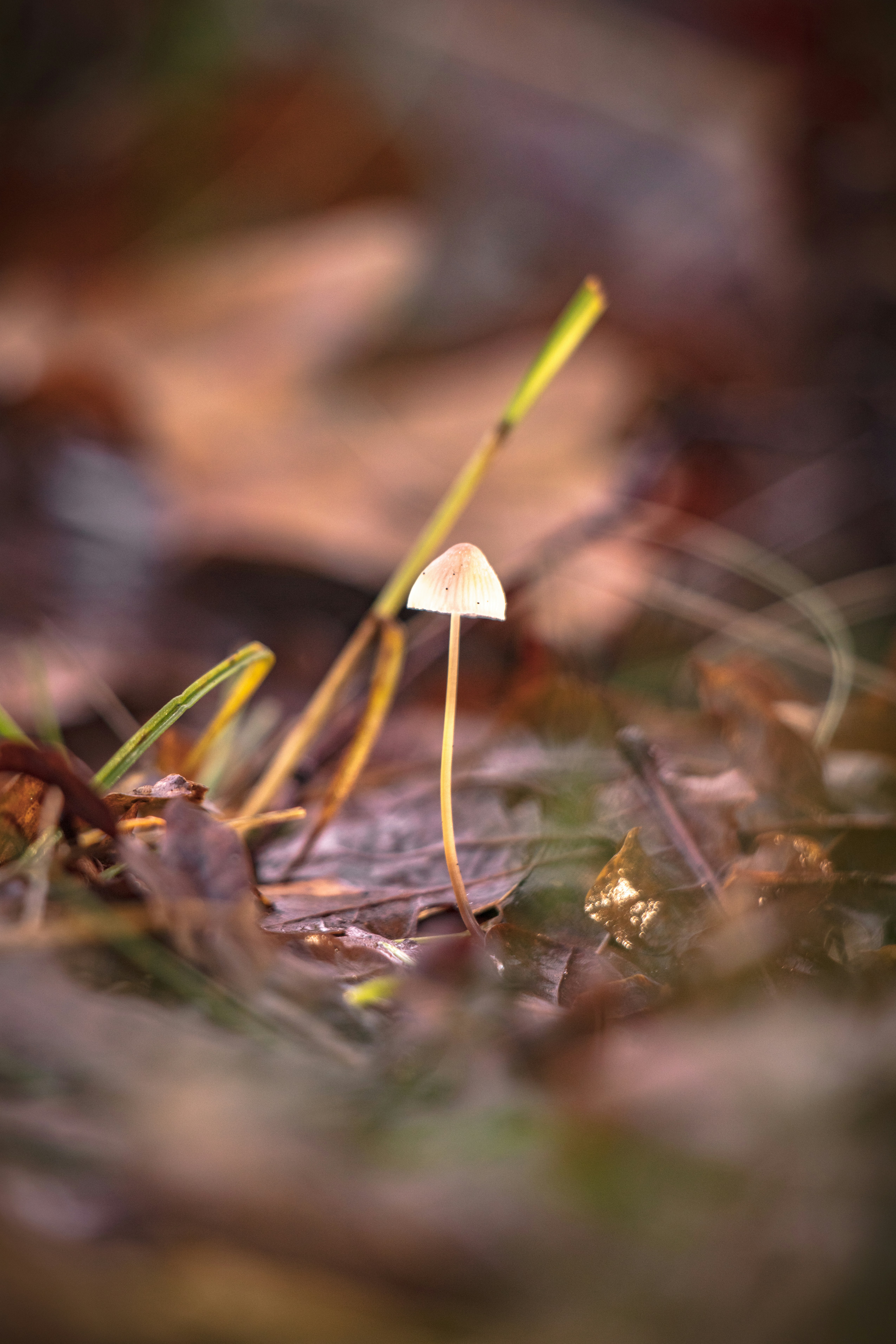 Photo by maureeneijpe