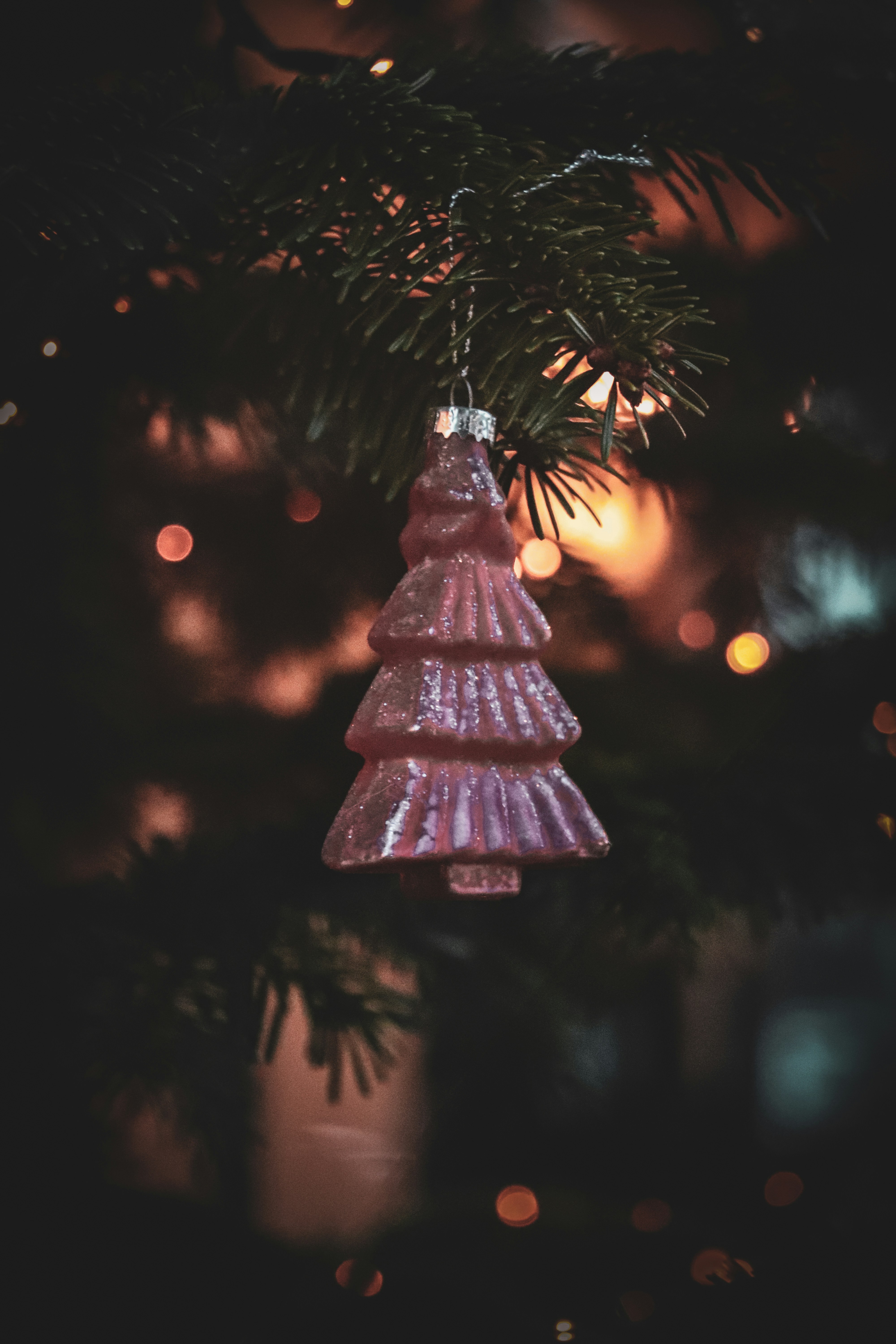 Photo by maureeneijpe