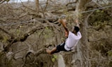 a man on a rope high up in the air