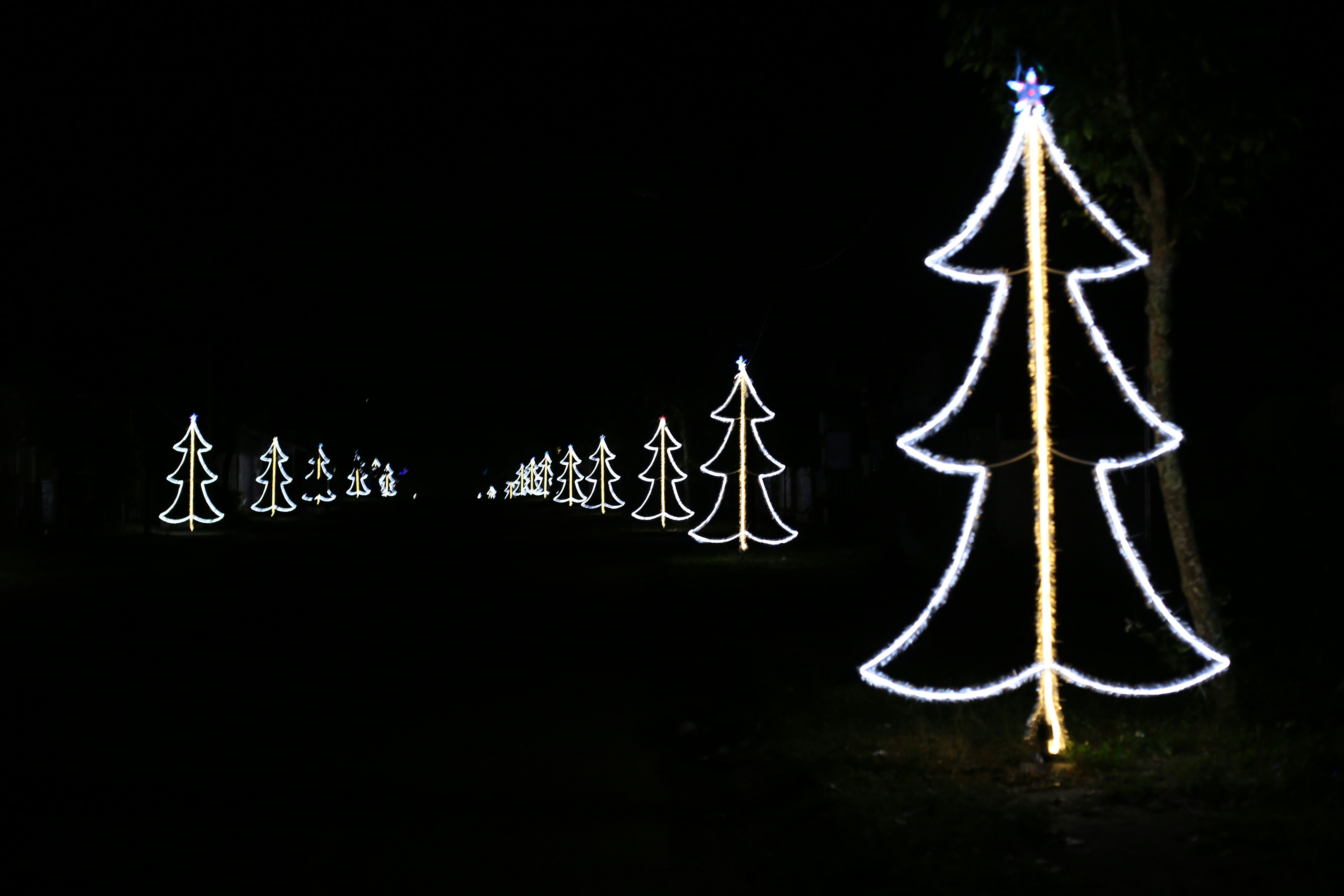 Photo by quangdieu195