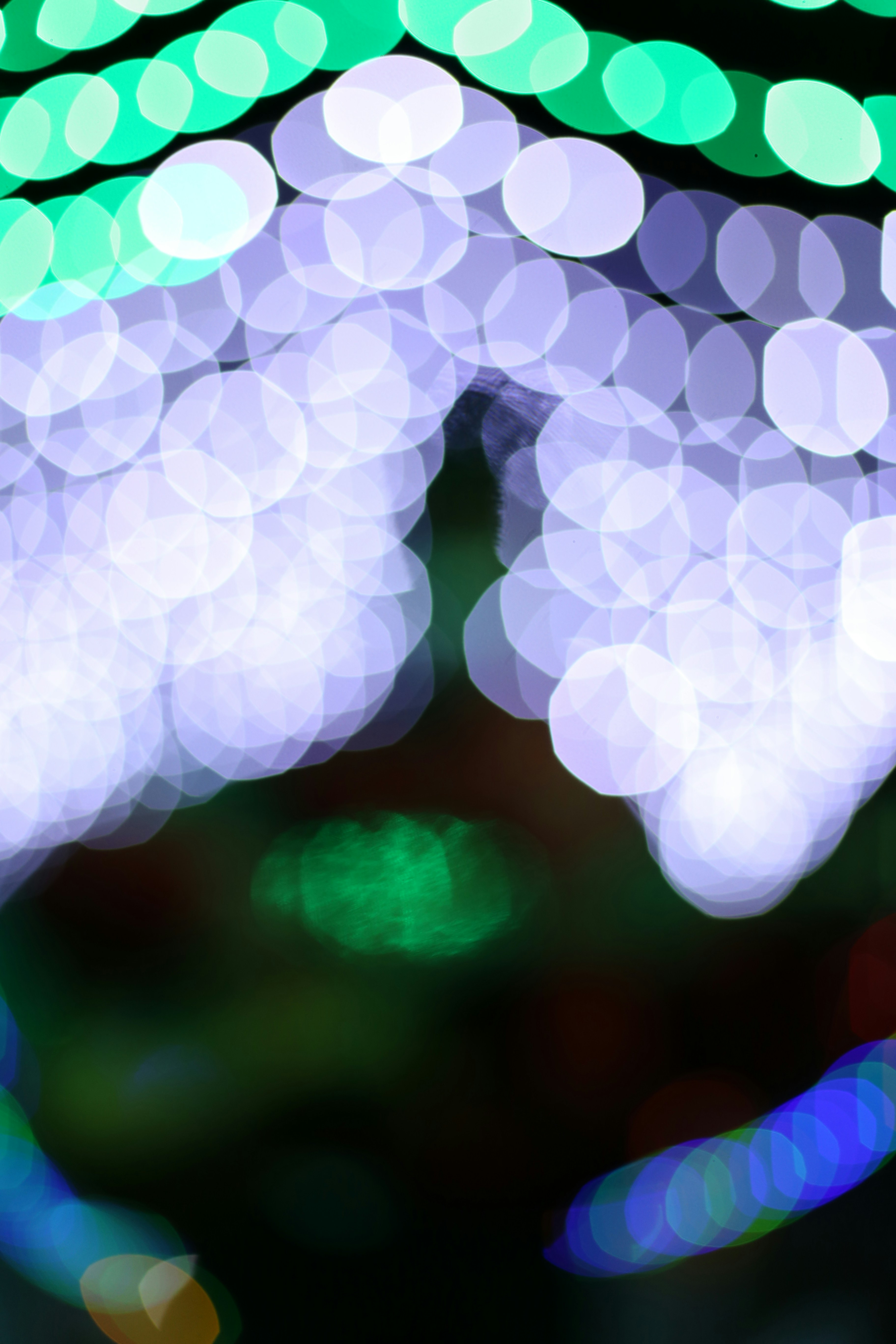 Photo by quangdieu195