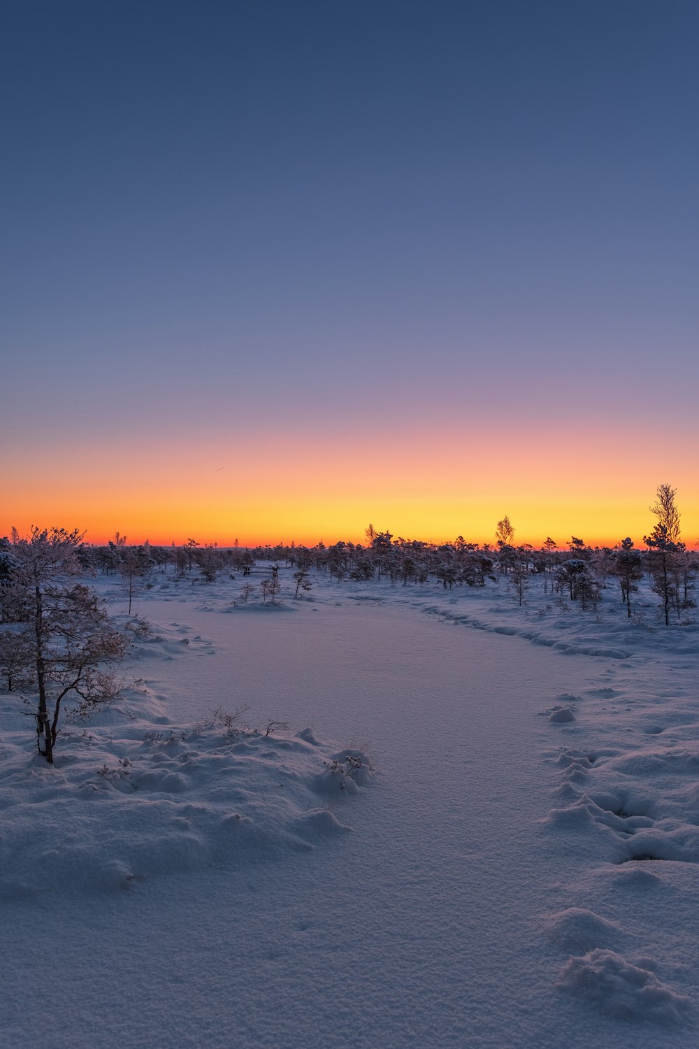 the sun is setting over a snowy field