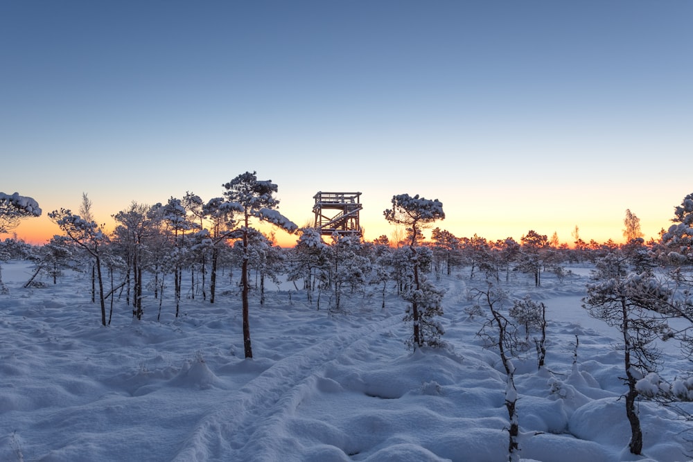 a snowy field with trees and a tower in the distance