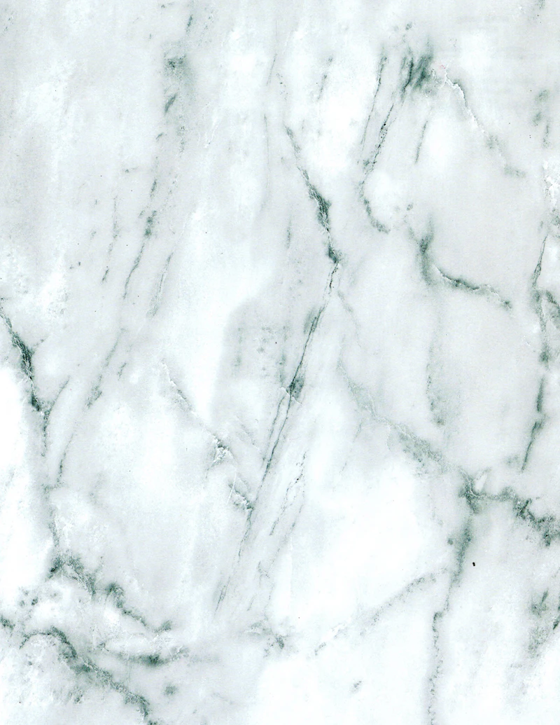 Indus White marble with bold veining