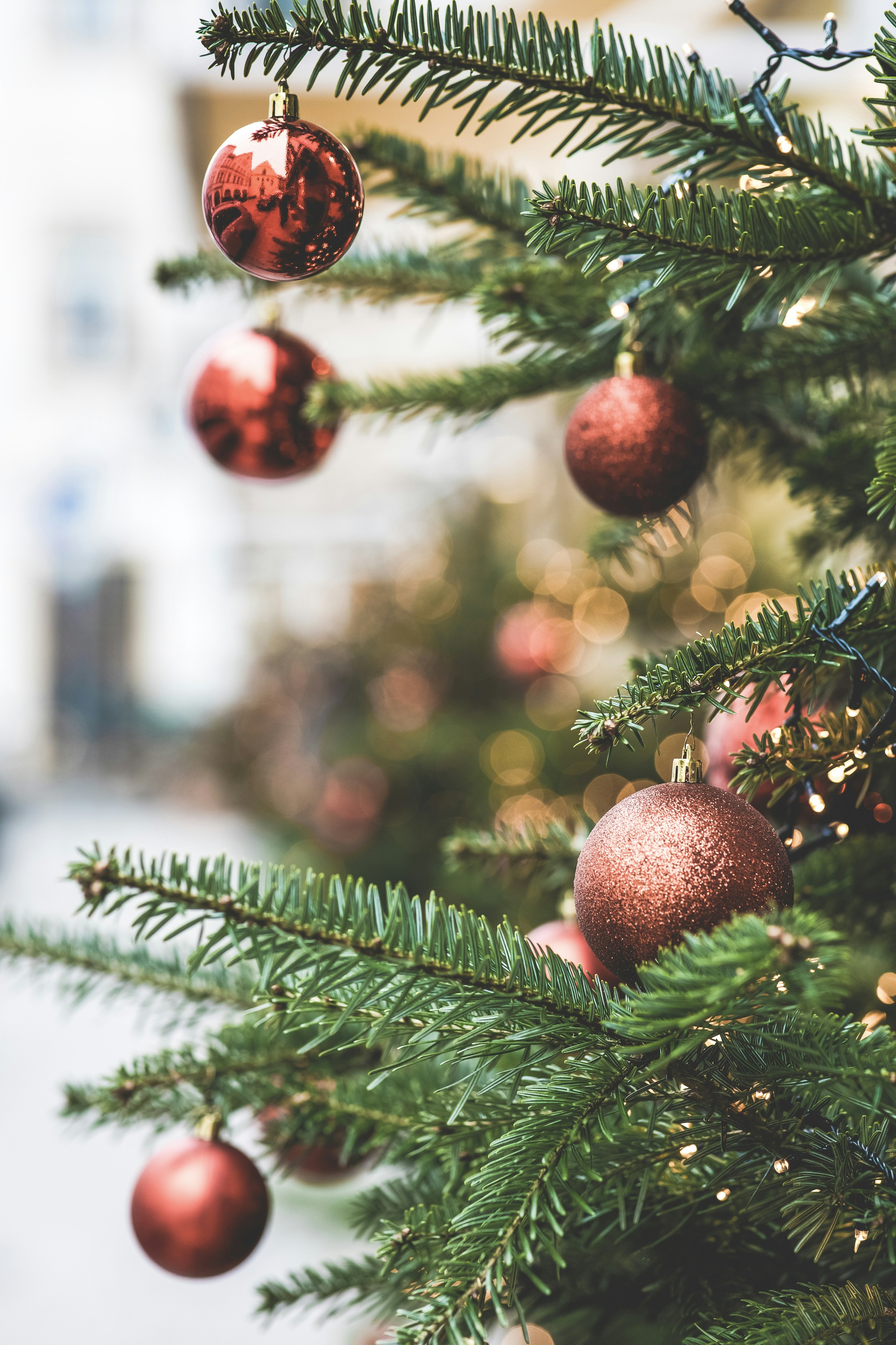 Photo by markusspiske