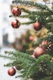 a close up of a christmas tree with ornaments