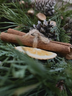 A composition of natural elements includes cinnamon sticks tied with twine, a slice of dried orange, pinecones, and pine branches. The focus is on texture and warm, earthy tones, creating a rustic and aromatic feel.