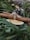 A composition of natural elements includes cinnamon sticks tied with twine, a slice of dried orange, pinecones, and pine branches. The focus is on texture and warm, earthy tones, creating a rustic and aromatic feel.